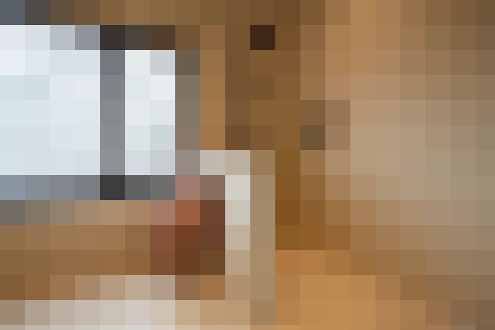  / #12