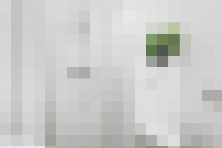  / #19