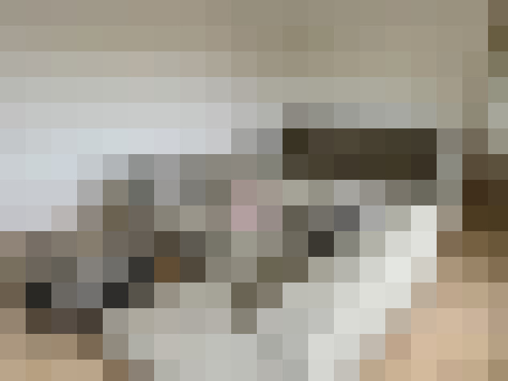  / #15