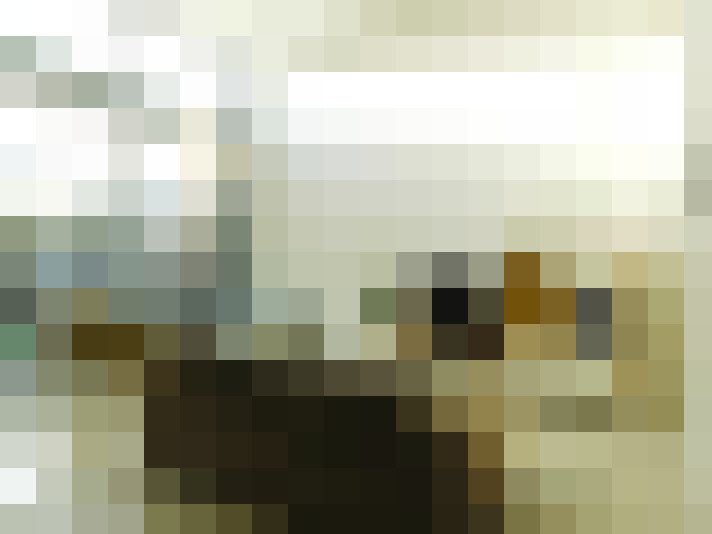  / #16