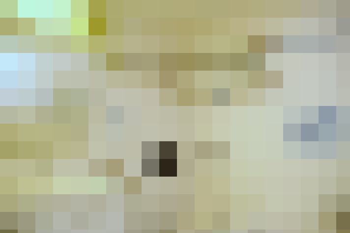  / #9