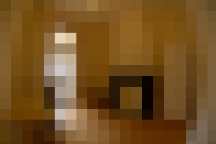  / #6