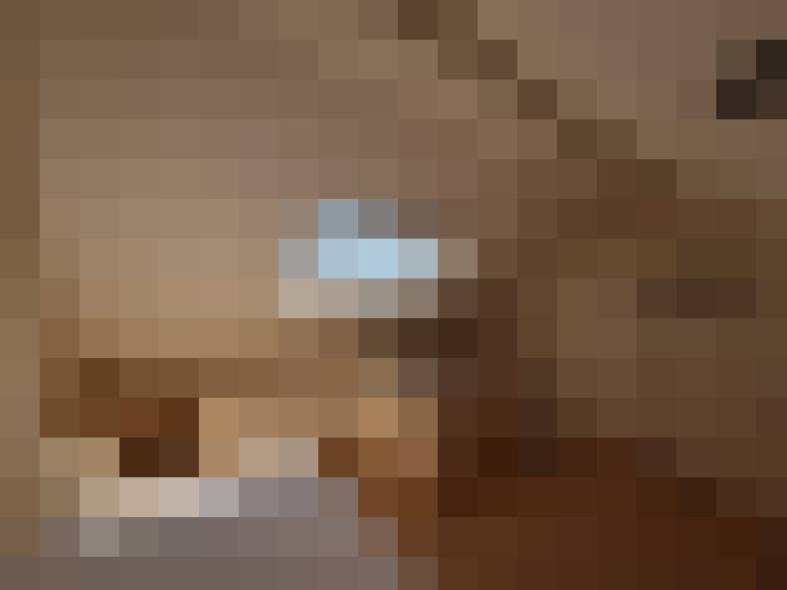  / #6