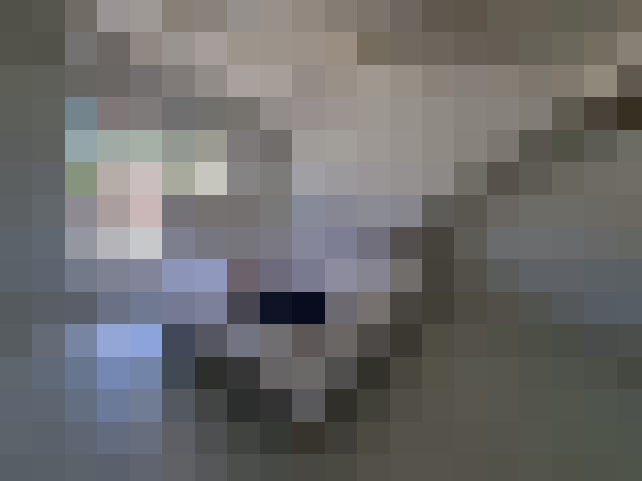  / #7