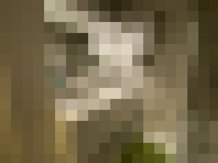 / #8