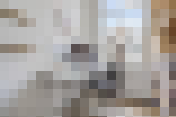  / #17