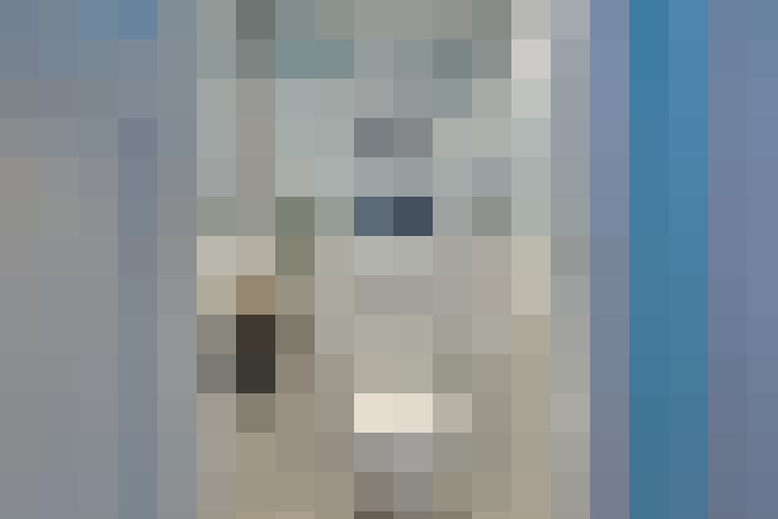  / #19