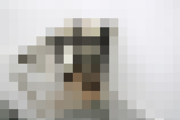  / #8