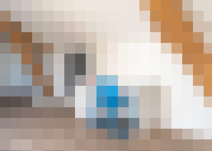  / #22