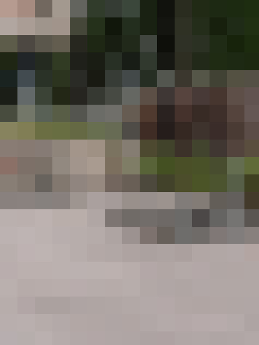  / #17