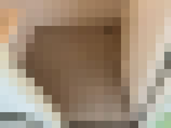  / #15