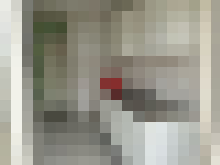  / #24