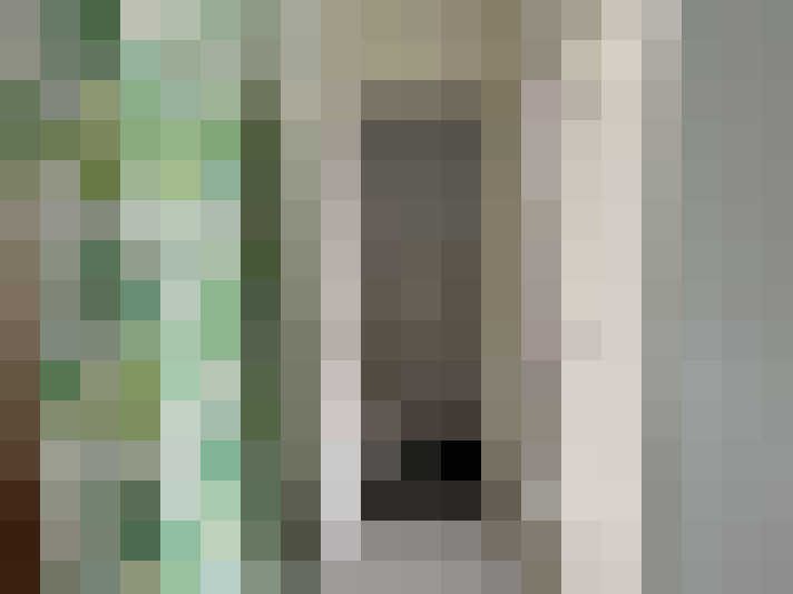  / #21