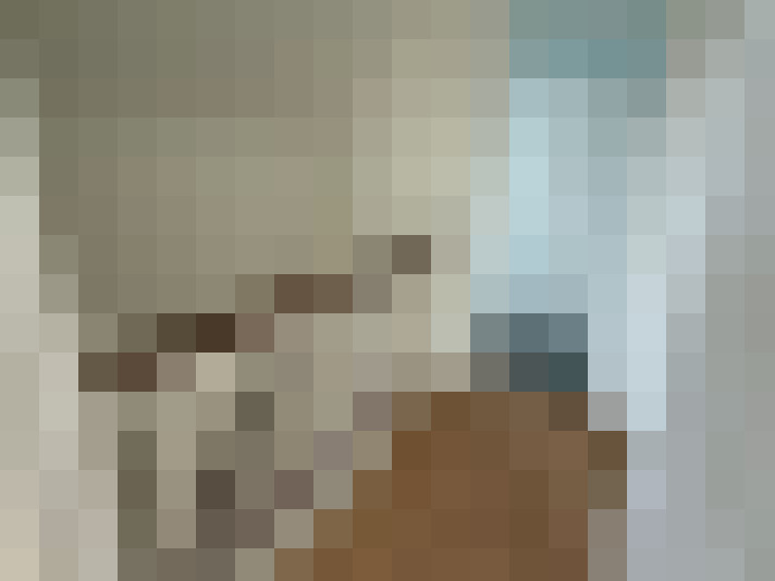  / #20