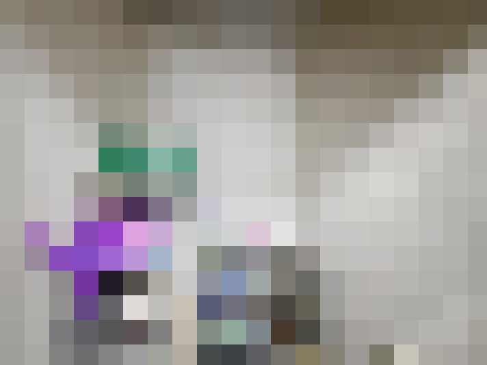  / #24