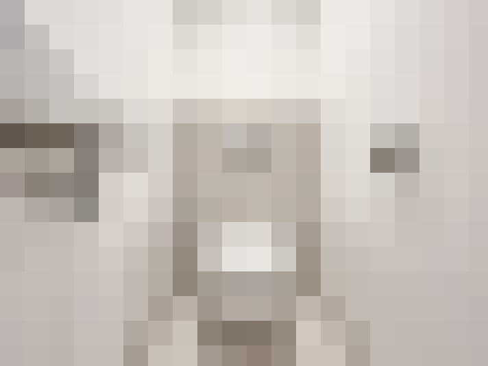  / #15