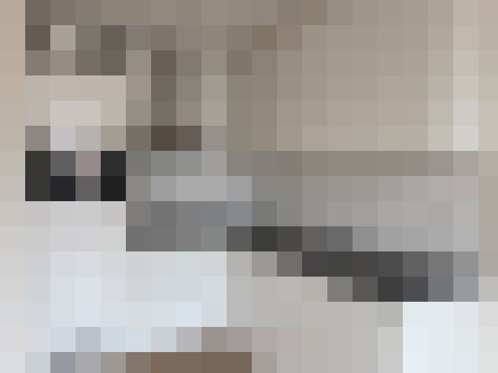  / #12