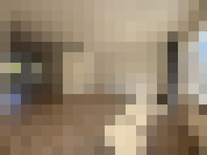  / #8