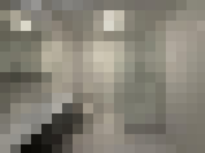  / #15