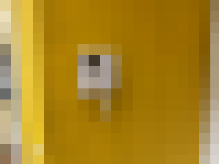 / #8