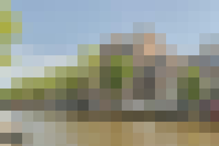  / #7