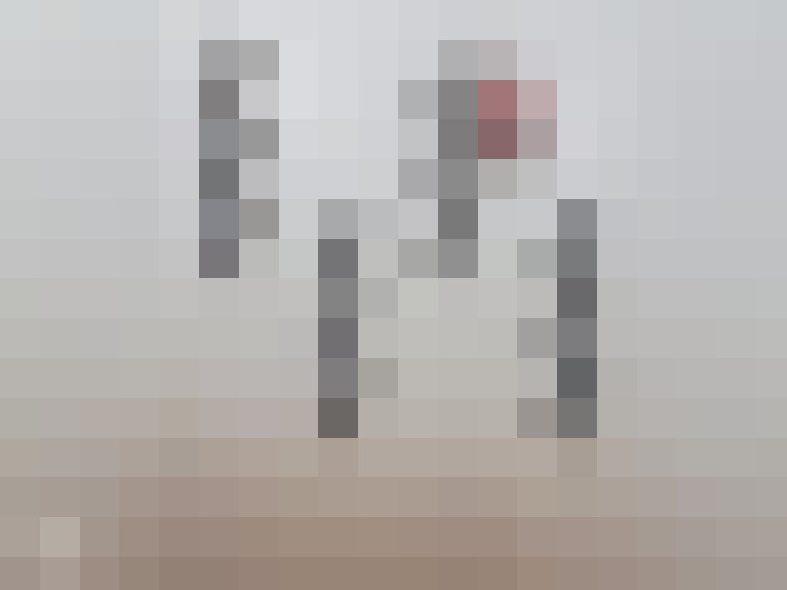  / #10