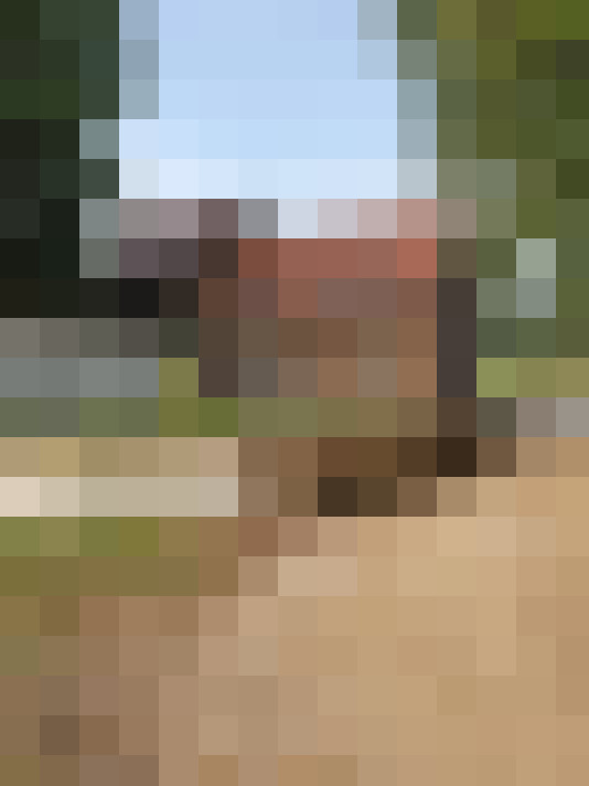  / #13
