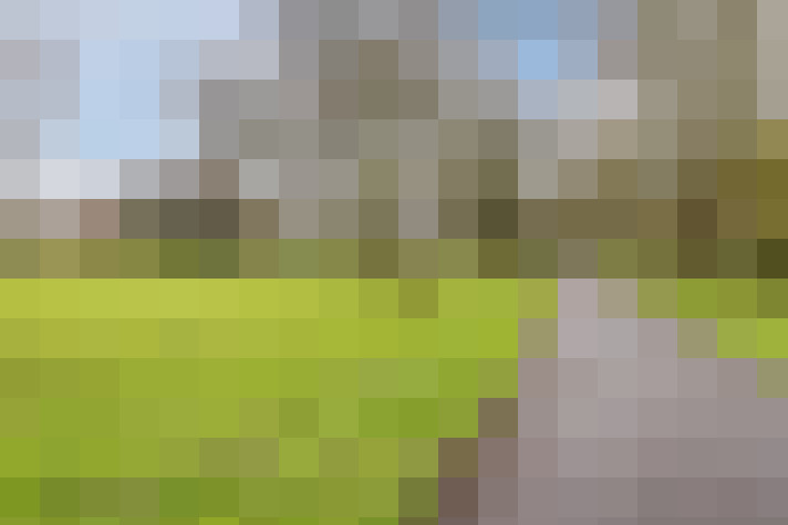  / #16