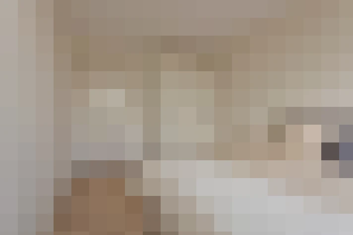  / #17