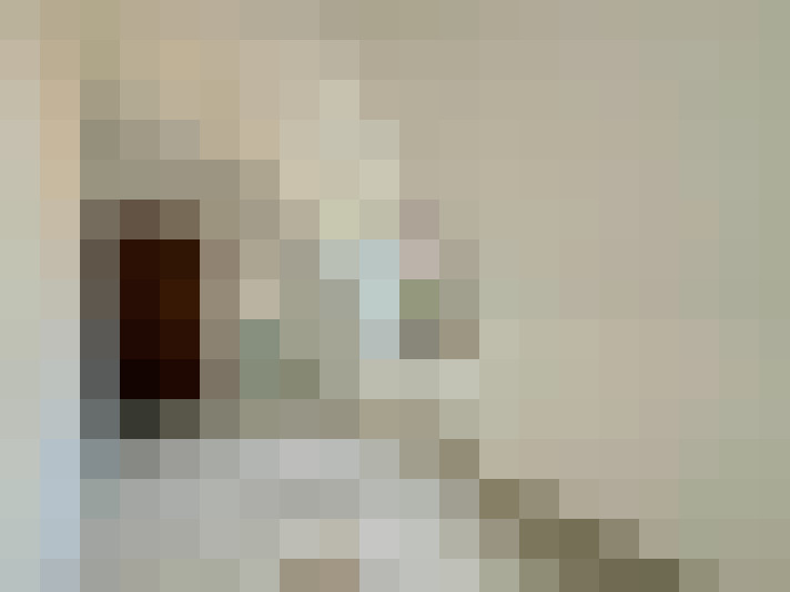  / #17