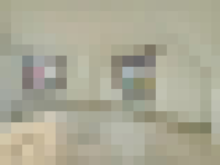  / #22