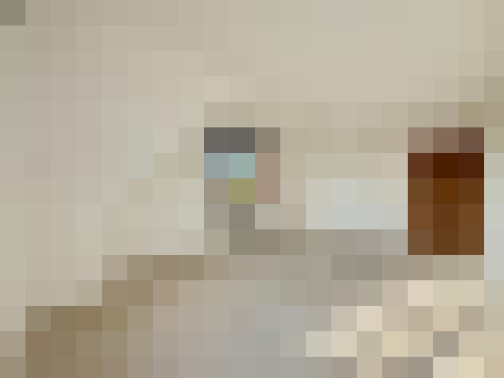  / #23