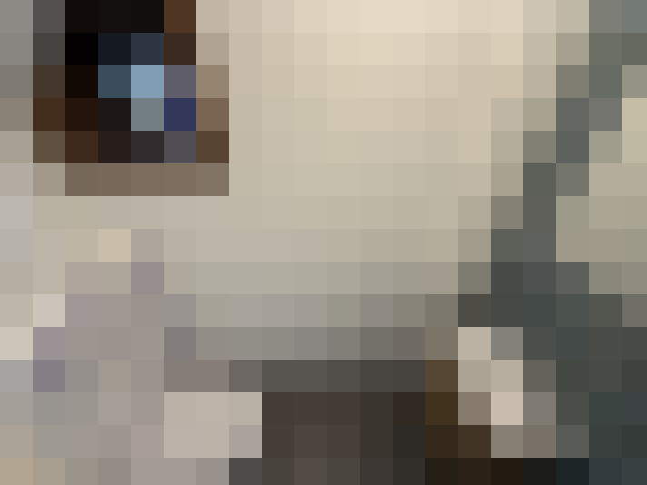  / #16