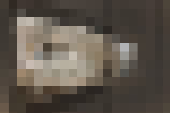  / #23