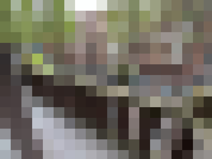  / #16