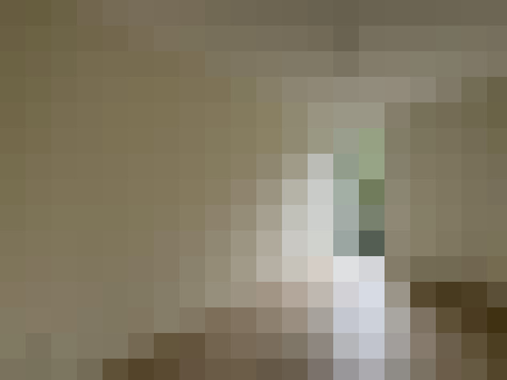  / #17