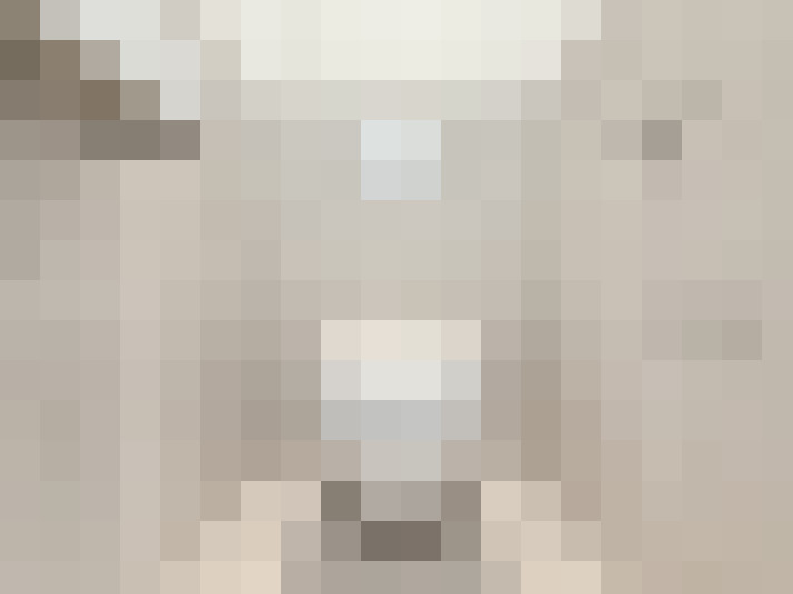  / #15