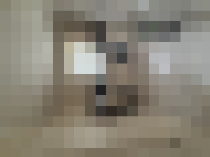  / #8