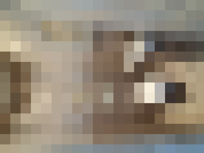  / #18