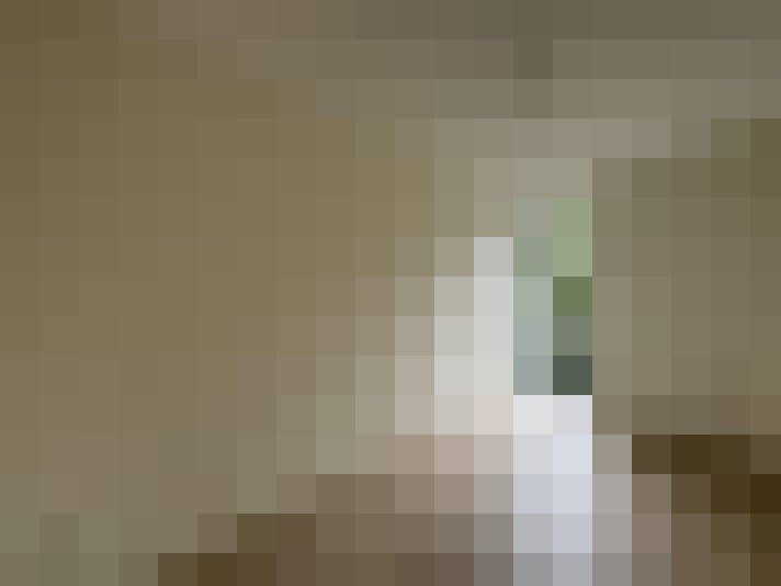  / #14