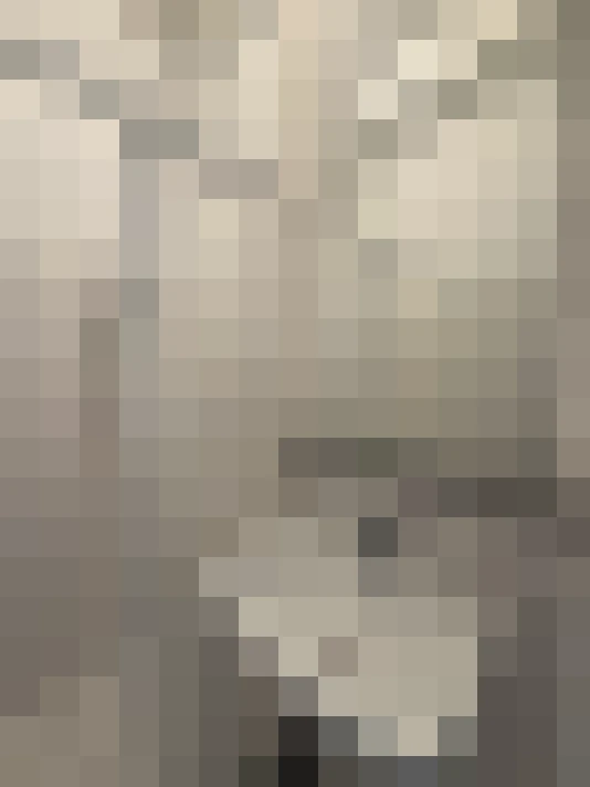  / #19