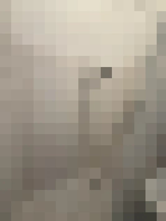  / #21