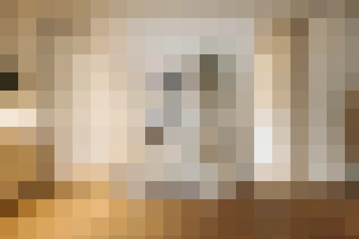  / #17