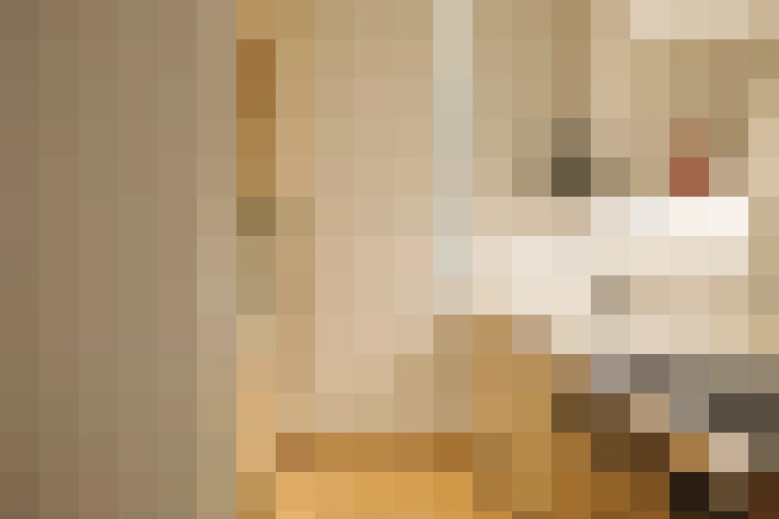  / #15