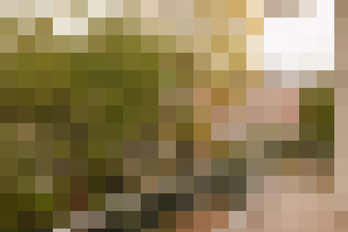  / #16