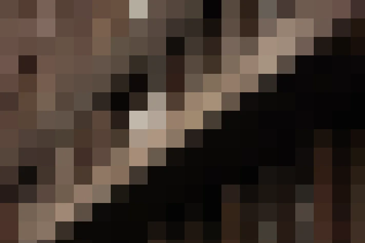  / #24