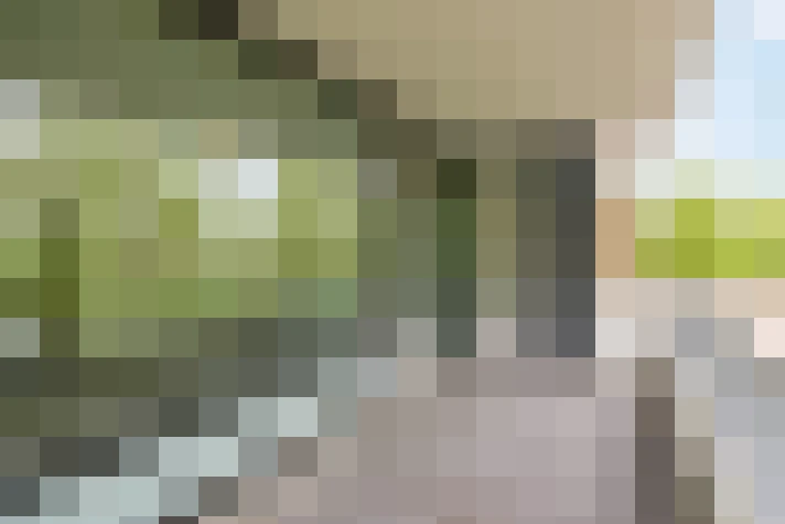  / #15