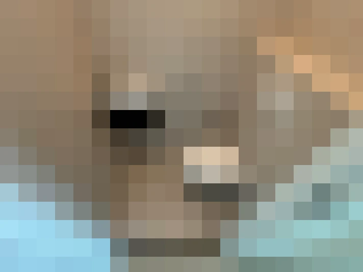  / #8