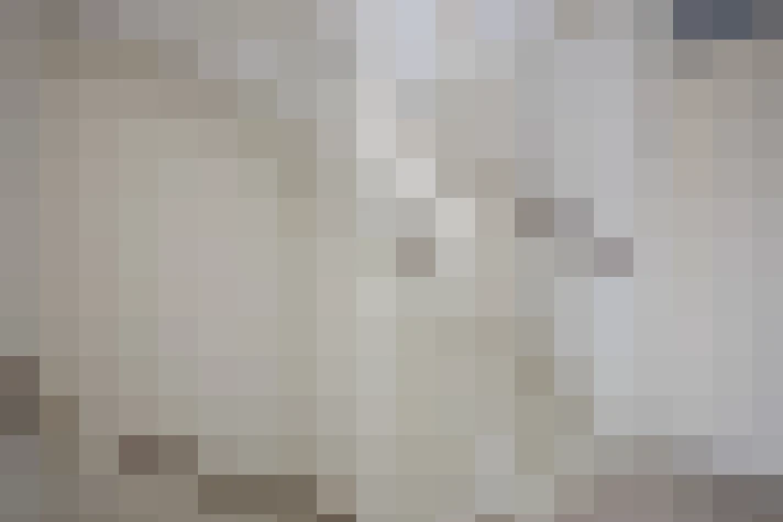  / #19