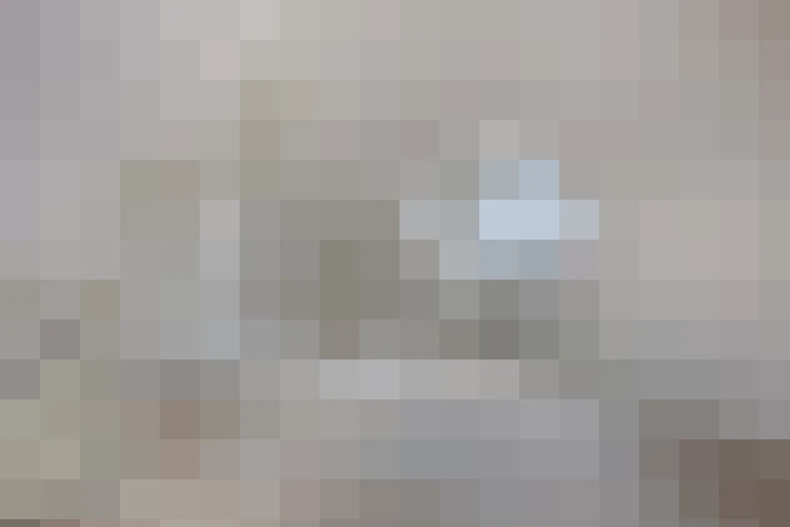  / #21